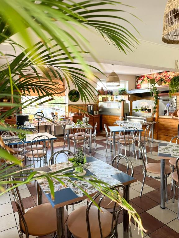 Kokosek Pokoje Gościnne - 3