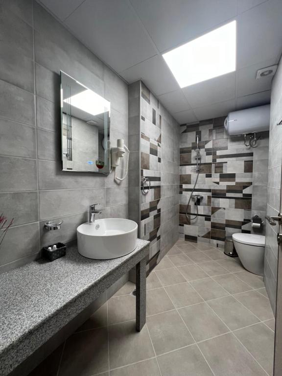 a bathroom with a sink and a toilet at GREEN PARK Apartments and rooms for guests in Asenovgrad