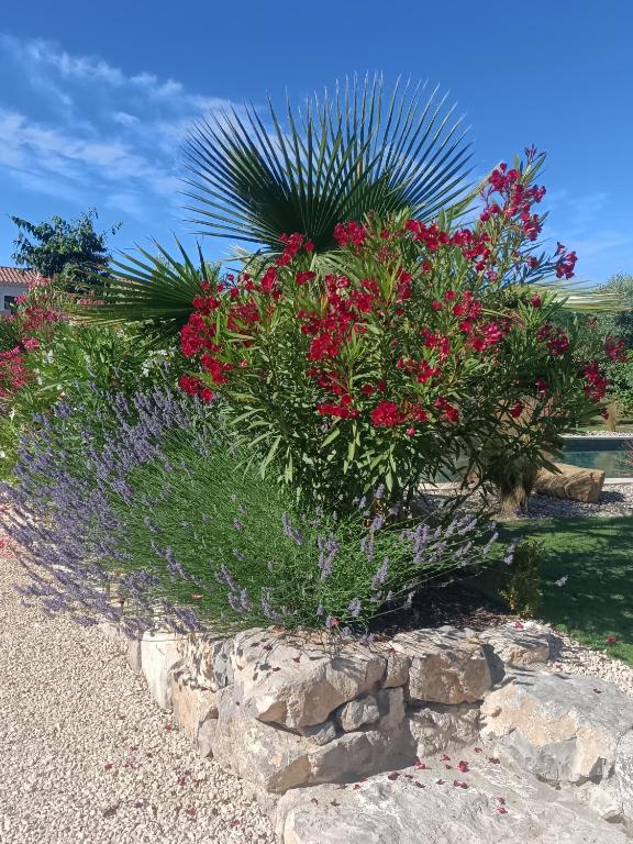 Zahrada ubytování Douce Provence Magnifique appartement neuf avec jardin proche du centre ville