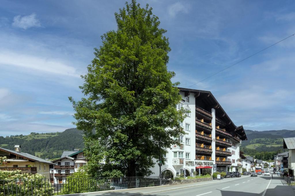 Nespecifikovaný výhled na hory nebo výhled na hory při pohledu z hotelu
