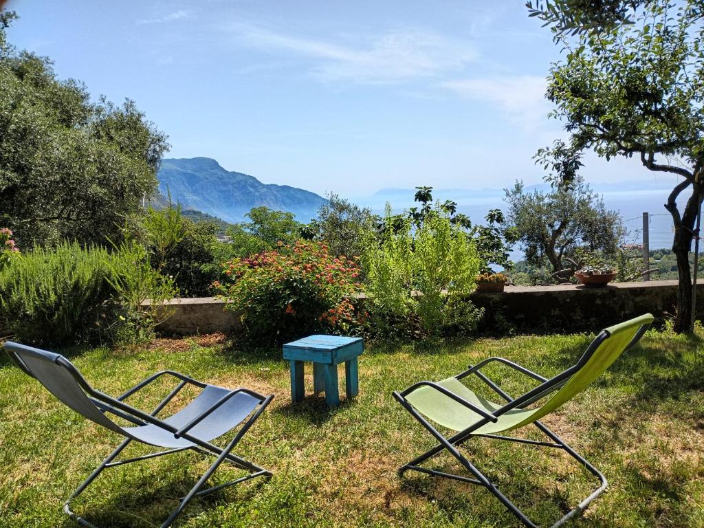 Sorrento, Positano, Amalfi Coast, Capri, garden, villa Carcara - 一居室房屋