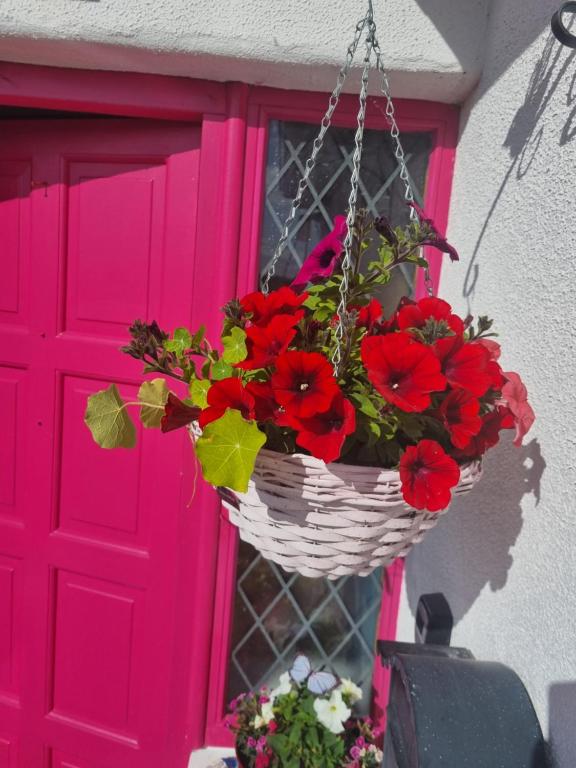 Gallery image of The Pink Door in Killala