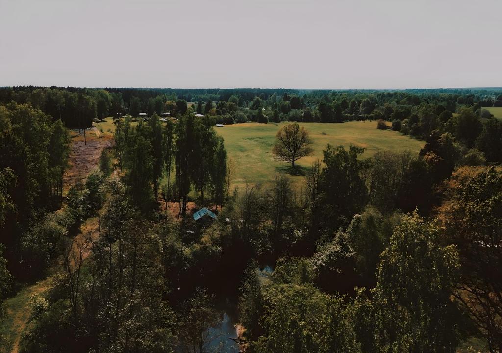 Příroda nedaleko luxury tent