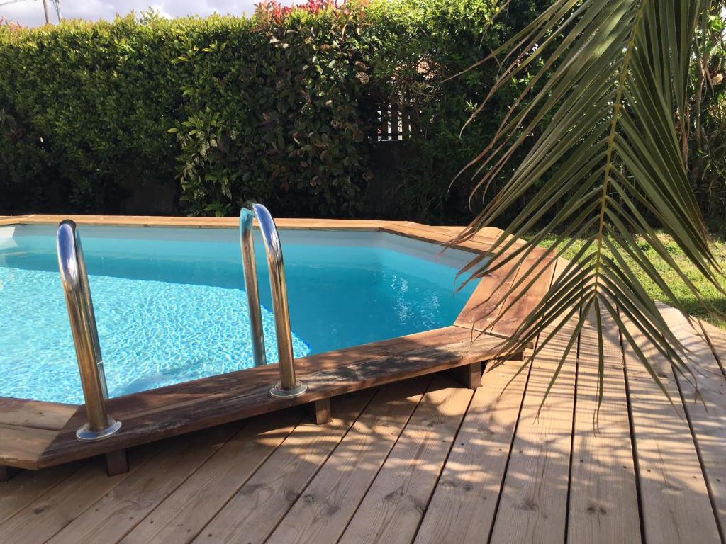 - une piscine avec un palmier à côté dans l'établissement Charmante Maison Entre Lac et Océan, à La Teste-de-Buch