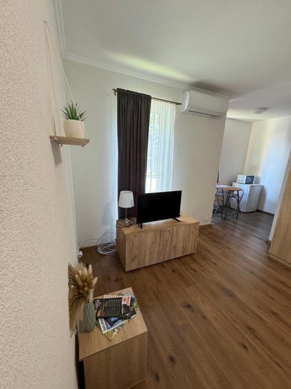 Televízia a/alebo spoločenská miestnosť v ubytovaní Bláthy Apartman