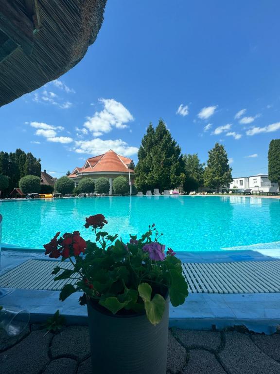 Bazén v ubytovaní Bláthy Apartman alebo v jeho blízkosti