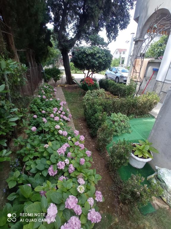 Vonkajšia záhrada v ubytovaní Apartmani Gaga