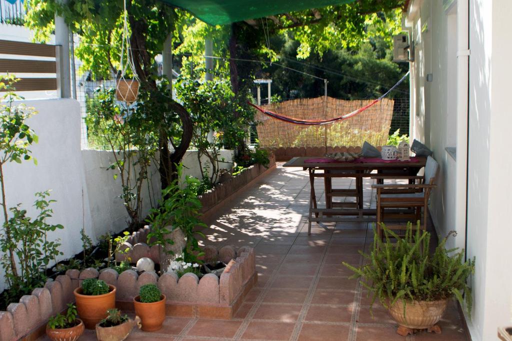 Zahrada ubytování Lemon House