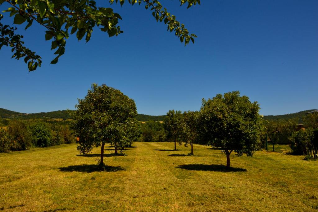 Przyroda w pobliżu tego gospodarstwa agroturystycznego