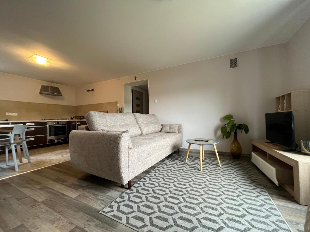 Televízia a/alebo spoločenská miestnosť v ubytovaní Apartament z tarasem