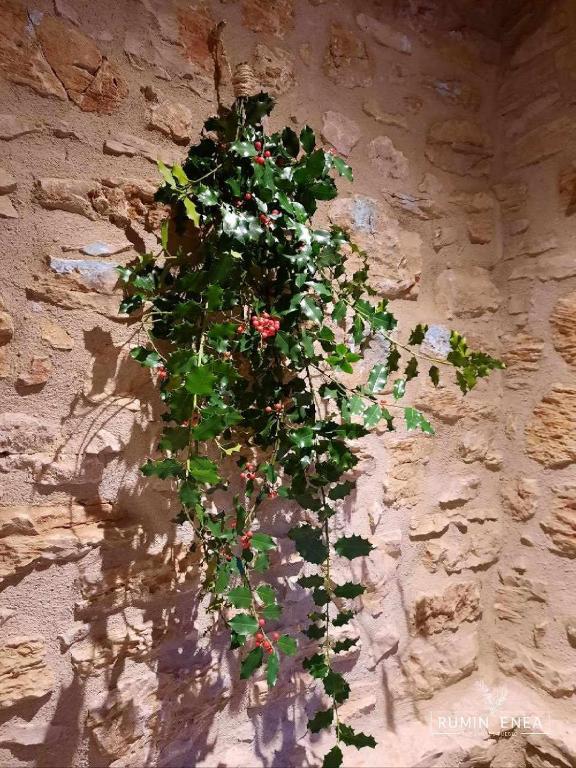 Fotografie z fotogalerie ubytování RUMIN ENEA Turismo de pueblo v destinaci Villaverde