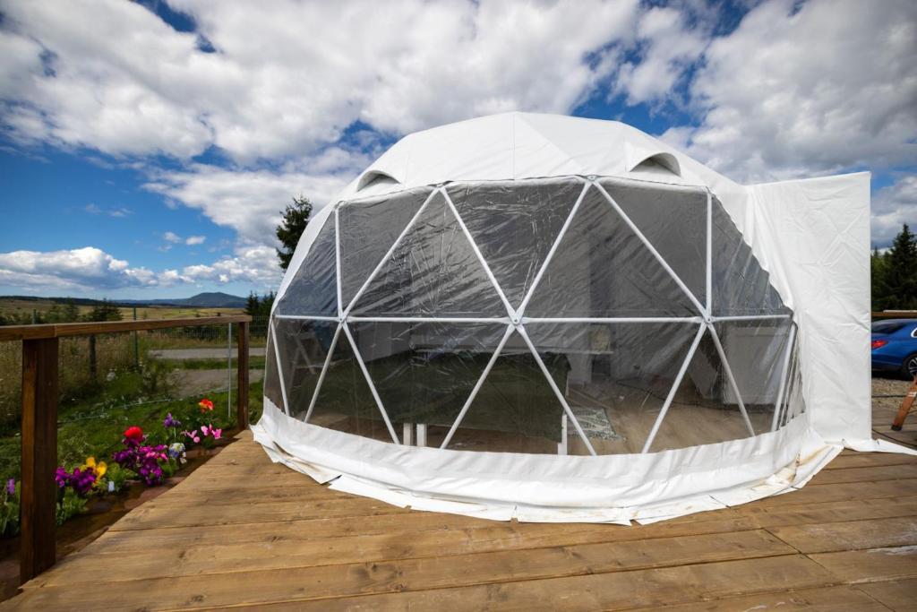 Zahrada ubytování Glamping 4 us