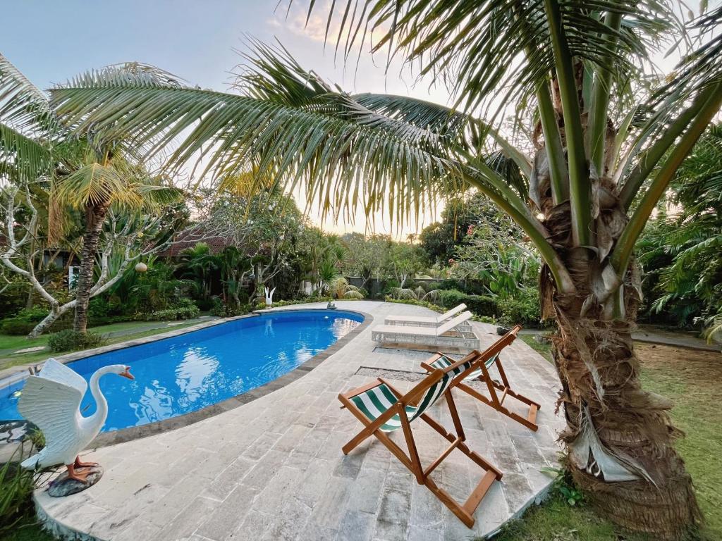 Πισίνα στο ή κοντά στο Adi's Bungalow