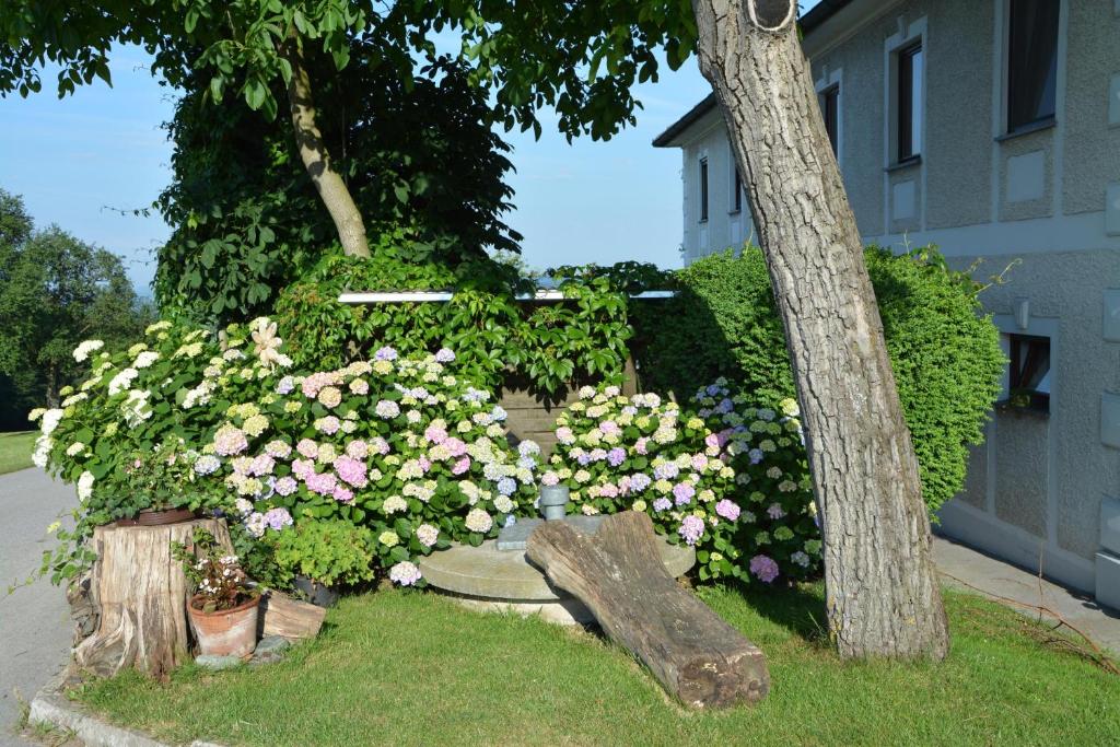 Zahrada ubytování Bio-Bauernhof Haunschmid