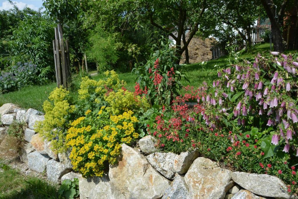Zahrada ubytování Bio-Bauernhof Haunschmid