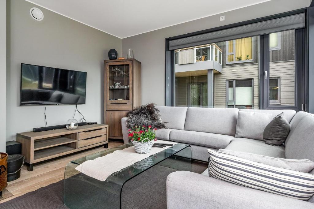 TV/trung tâm giải trí tại Mountain appartment