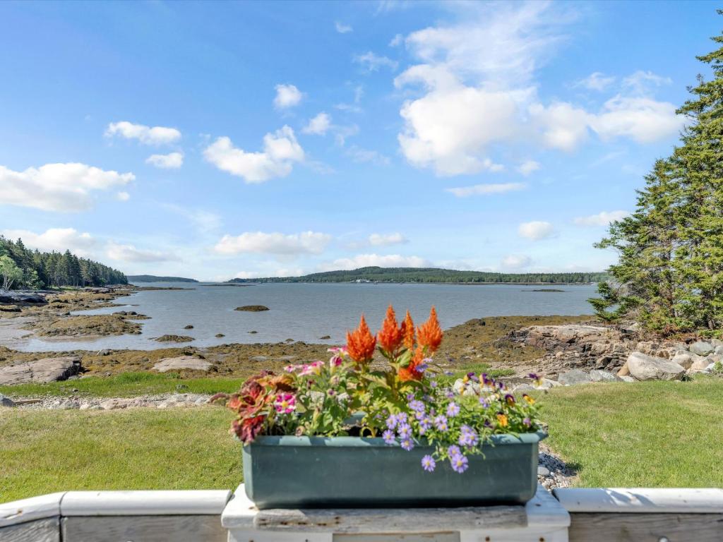 ein Blumentopf auf einem Tisch neben einem See in der Unterkunft Two-Bedroom House in Milbridge
