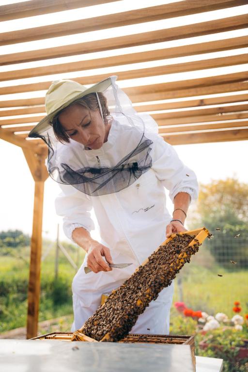 Hosté ubytování Milea Agritourism