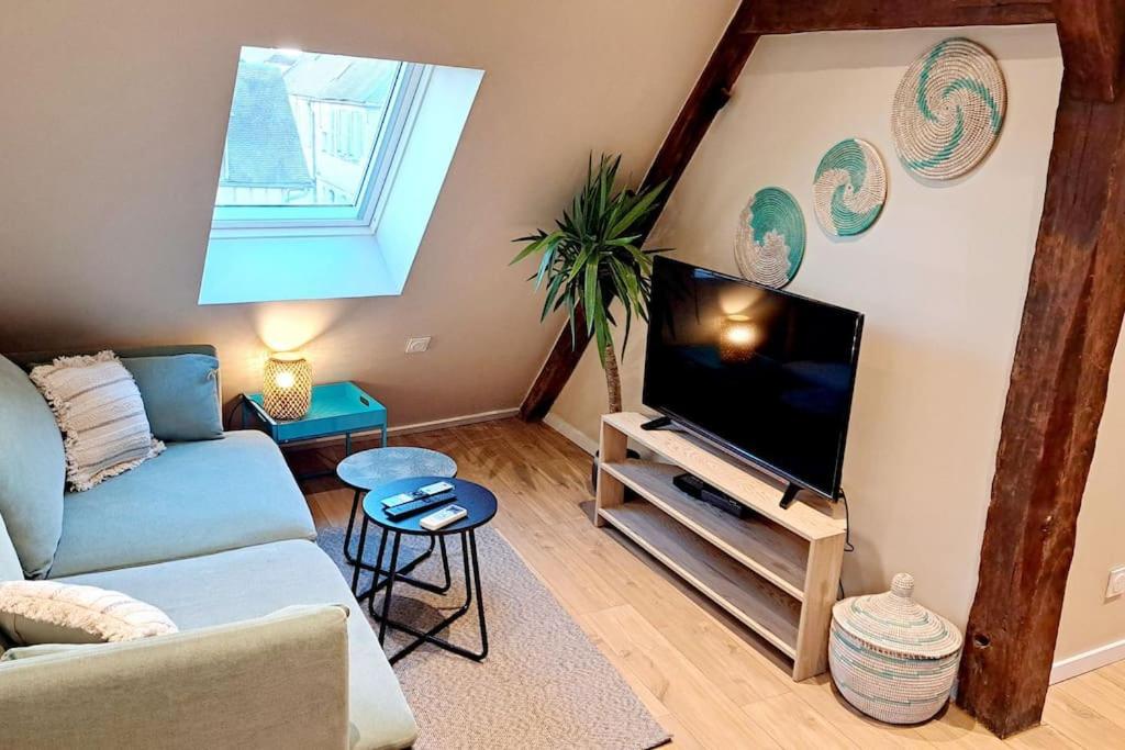 un salon avec un canapé et une télévision à écran plat dans l'établissement Belle Vue D'Auxerre, à Auxerre