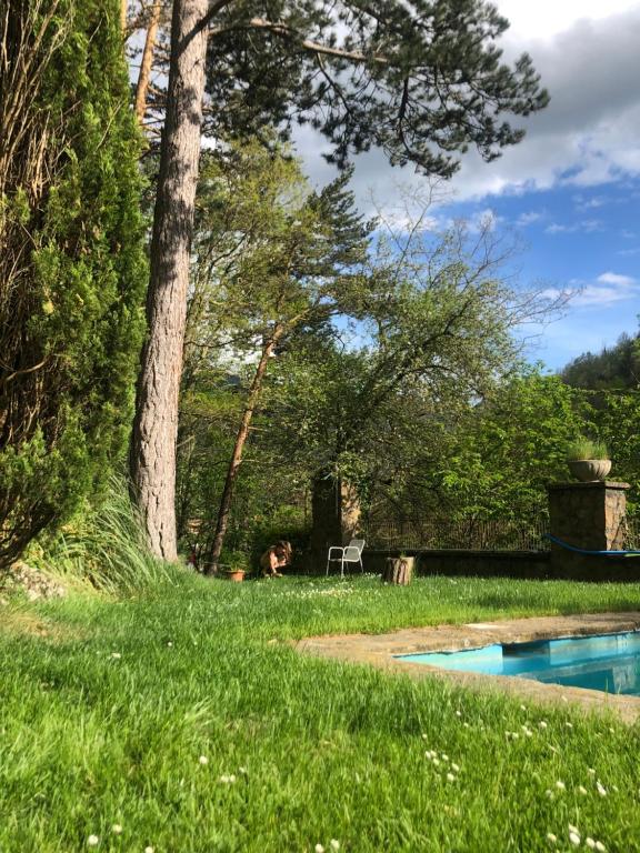 The swimming pool at or close to Bonavista - Els Apartaments del Bosc
