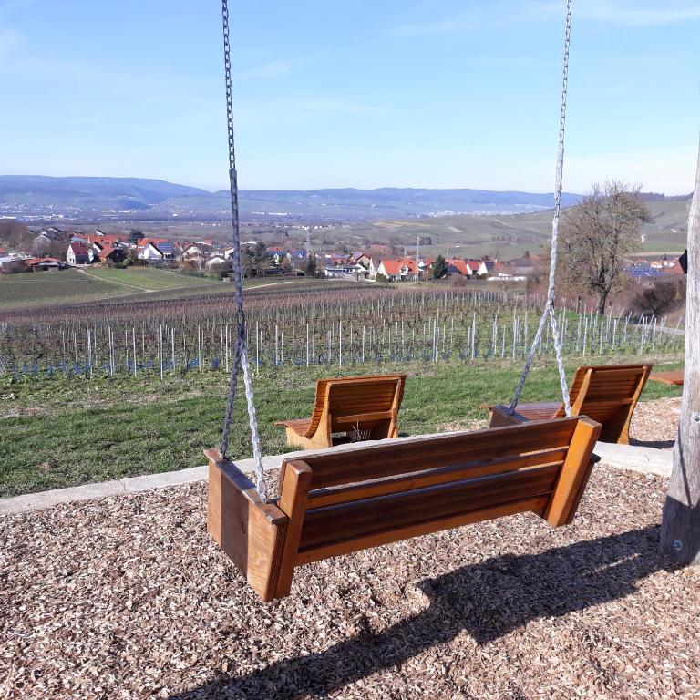 zwei Stühle auf einer Schaukel in einem Weinberg in der Unterkunft Ferienwohnung Aspisheim in Aspisheim