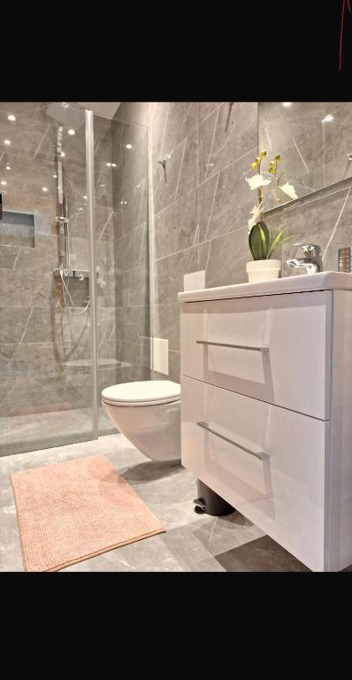 Koupelna v ubytování Spacious 2 - Room Apartment - 6 Guests, 24h Check-in, Near Vienna