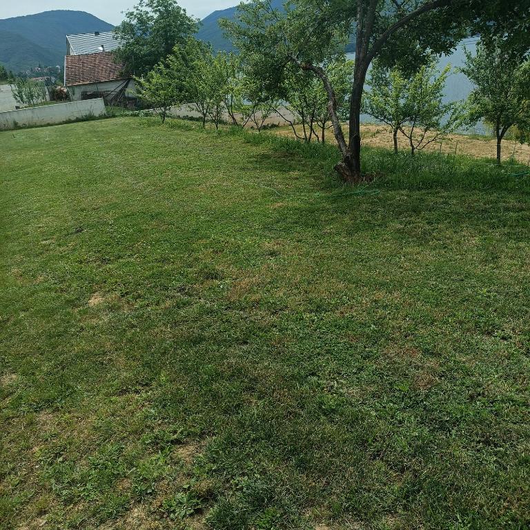 Příroda nedaleko kempu