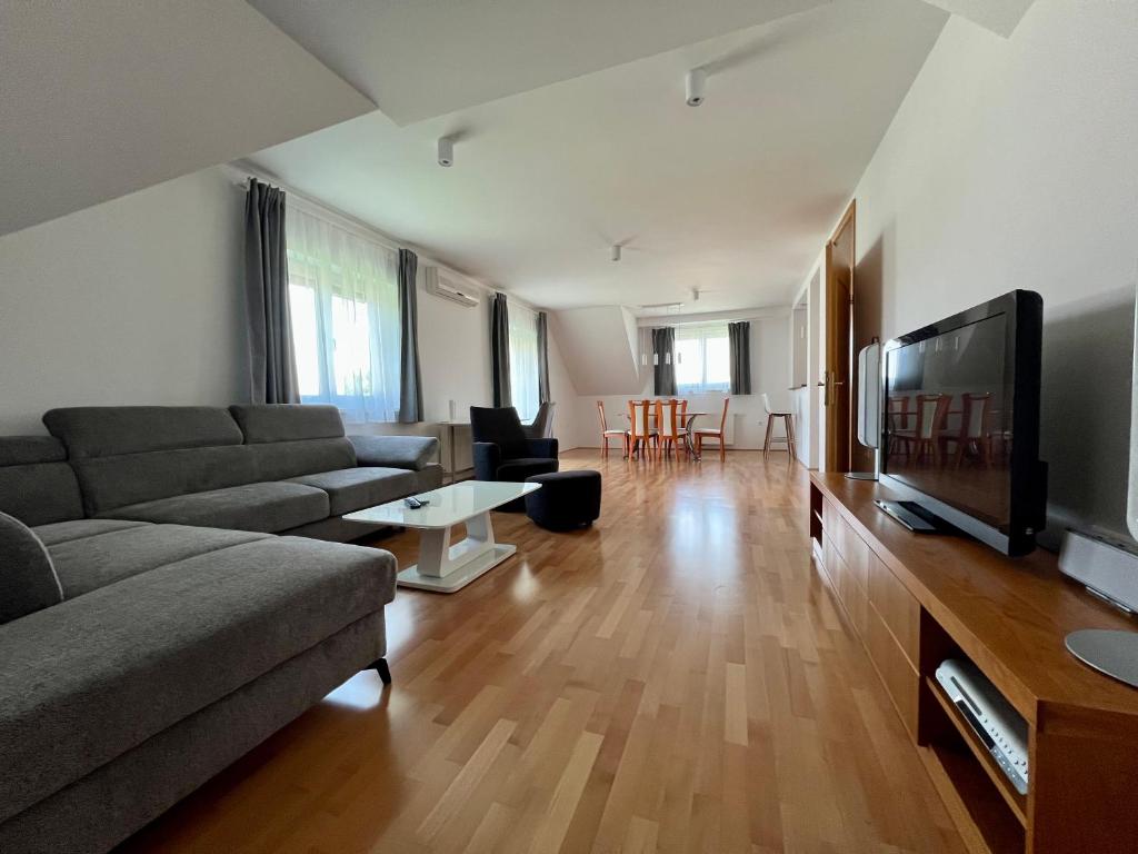 TV a/nebo společenská místnost v ubytování Apartment Šentjur center