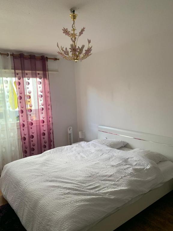 Appartement en face de la gare de St-Louis – photo 10