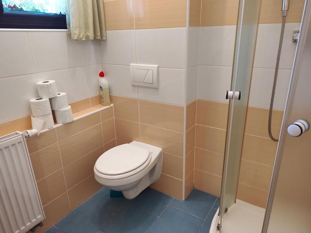 Koupelna v ubytování Apartmány Brevant