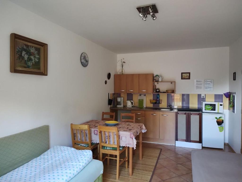 Kuchyň nebo kuchyňský kout v ubytování Apartmány Brevant