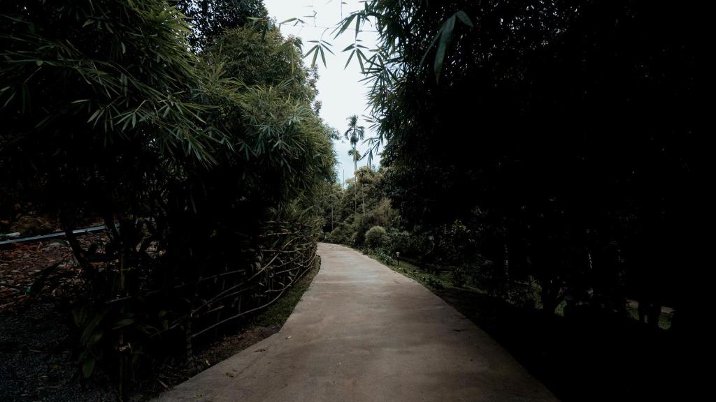 Fotografie z fotogalerie ubytování Vythiri Holiday Resort, Wayanad v destinaci Vythiri