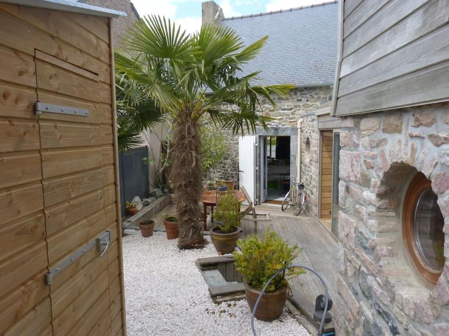 une cour avec des palmiers et un bâtiment en pierre dans l'établissement Le Clos Saint Jacques, à Plurien