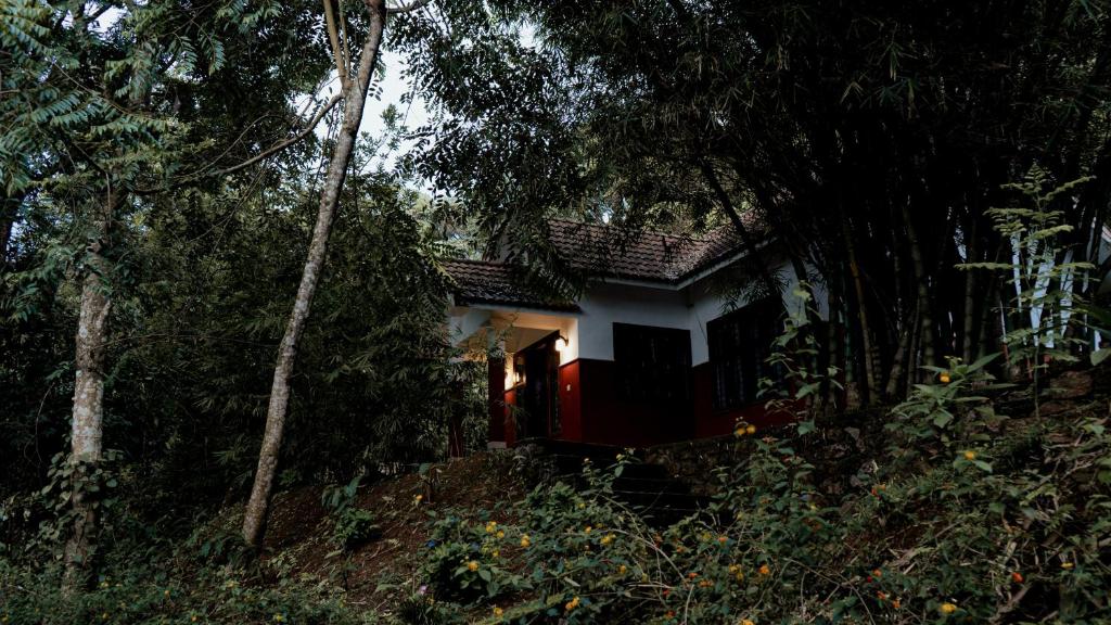 Zahrada ubytování Vythiri Holiday Resort, Wayanad