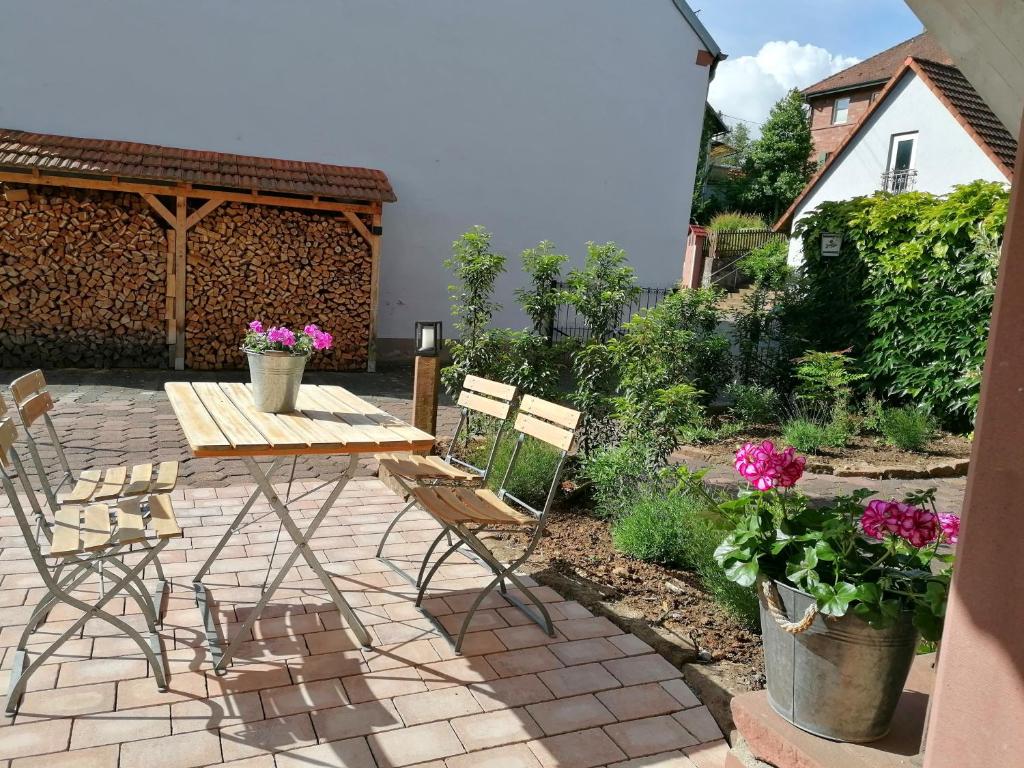 Zahrada ubytování Pension Stern