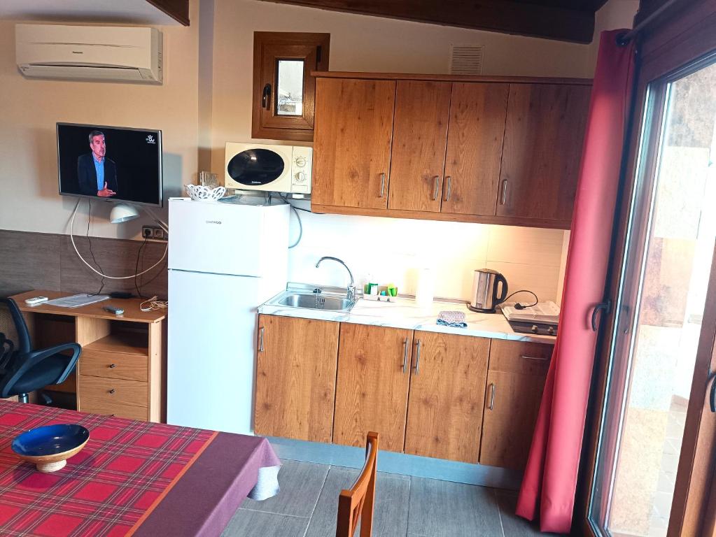 Flamencos del cerrado - 6