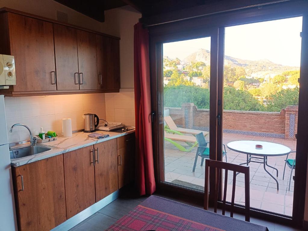 Flamencos del cerrado - 8