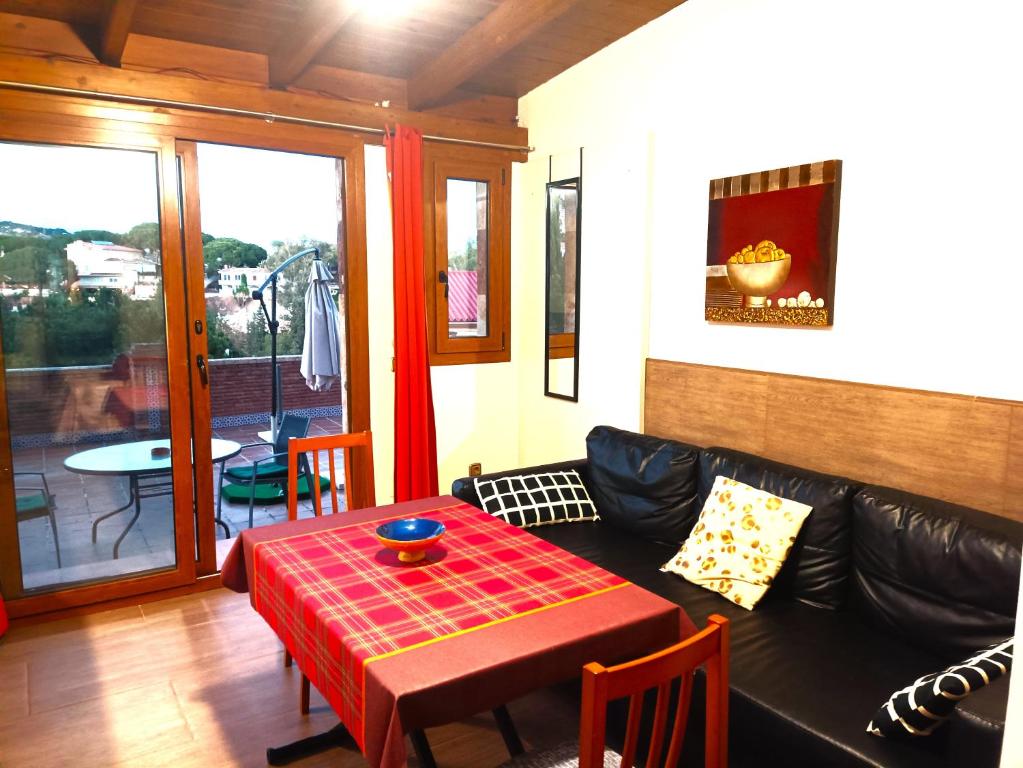 Flamencos del cerrado - 14