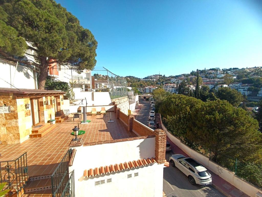 Flamencos del cerrado - 19