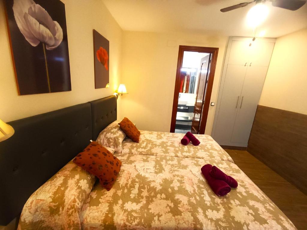 Flamencos del cerrado - 12