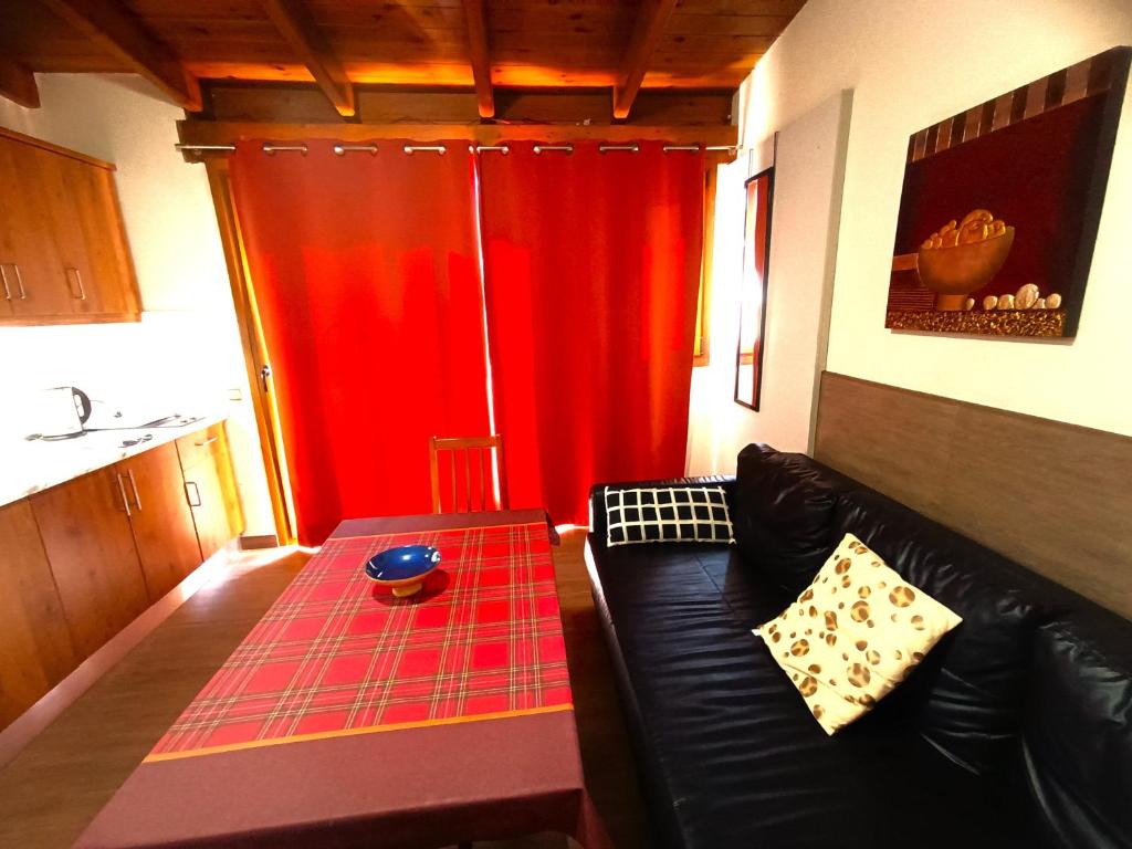 Flamencos del cerrado - 18