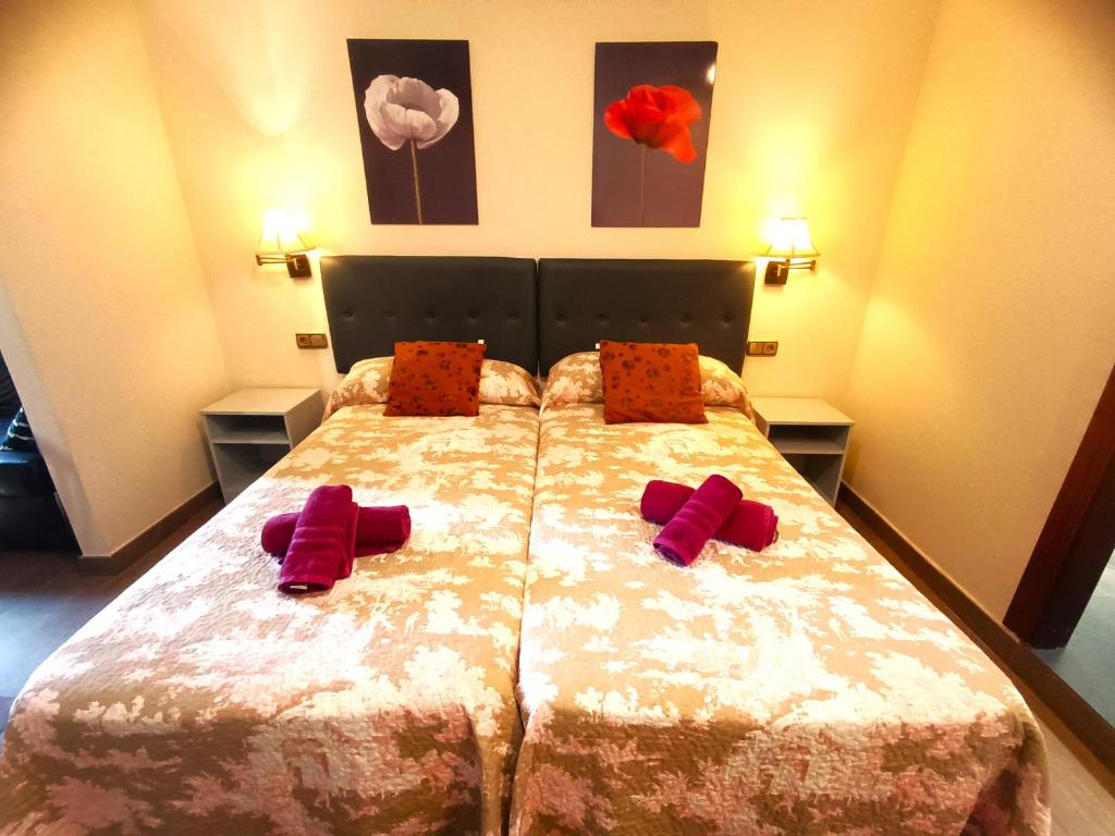 Flamencos del cerrado - 4