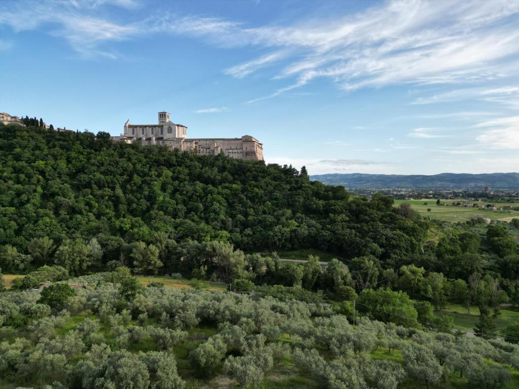 La Casa Tra Gli Ulivi - 17