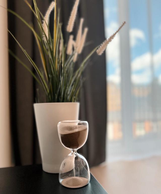 an hourglass sitting on a table next to a potted plant at Dainas Apartment in Riga