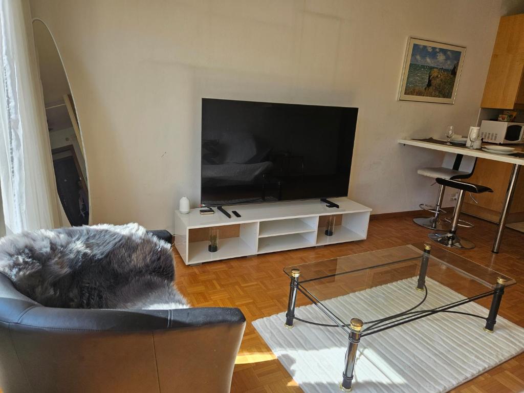 Una sala de estar con un televisor grande y un sofá. en Bonito apartamento 3, en Lausana
