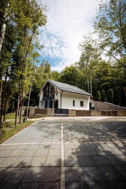 a house on the side of a road at Vila Blanc Valiug Crivaia in Văliug