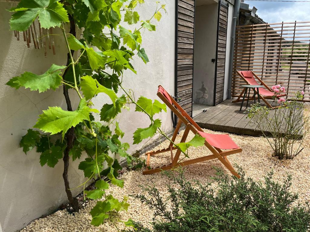 Κήπος έξω από το Hózhó Tempo - Sous les pins, Bed & Breakfast écofriendly & slowlife avec sauna