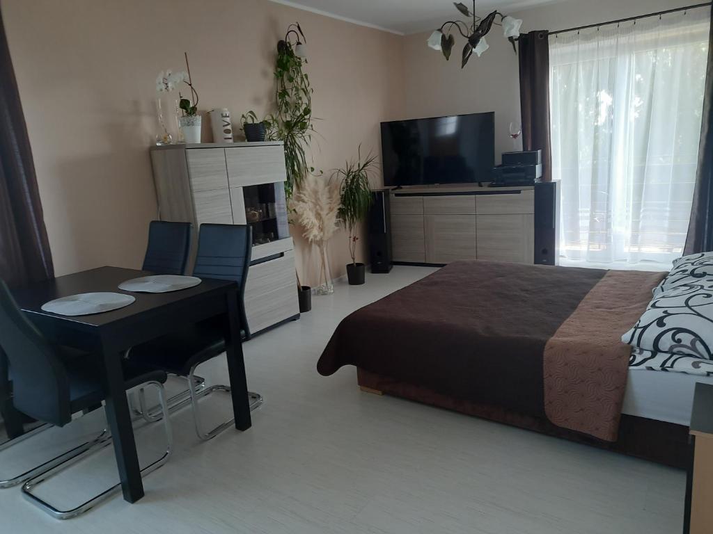a bedroom with a bed and a desk and a television at Uroczy Zakątek in Krynica Morska