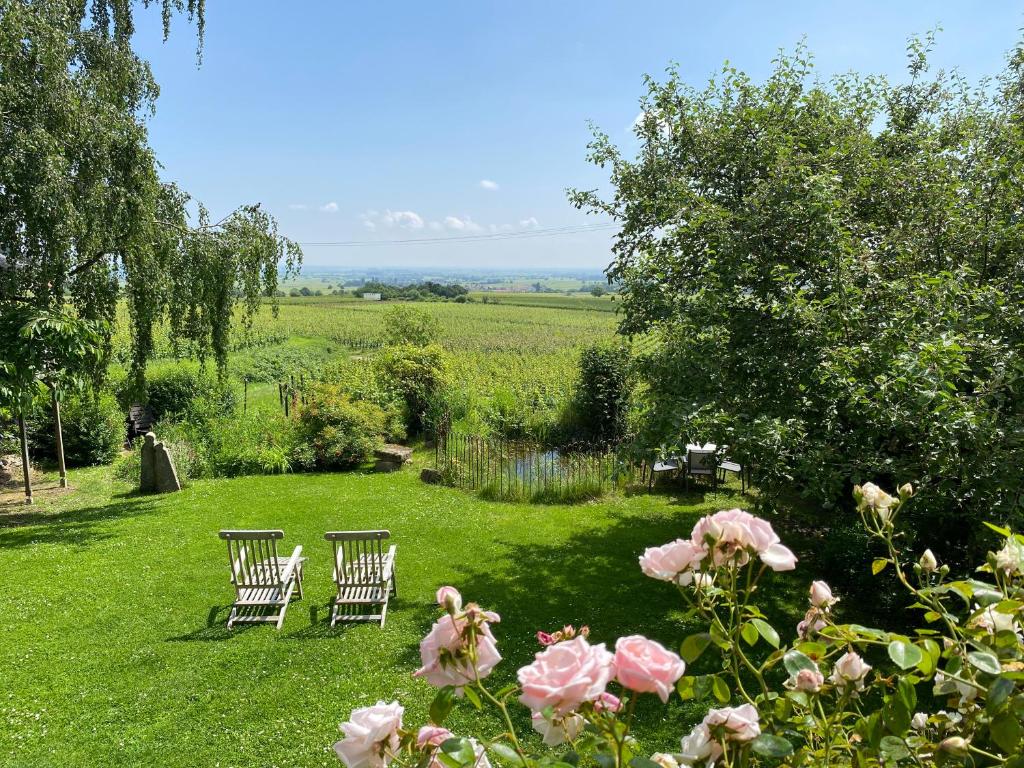 a garden with two chairs and flowers in the grass at Traumblick Rebenmeer in Gleisweiler