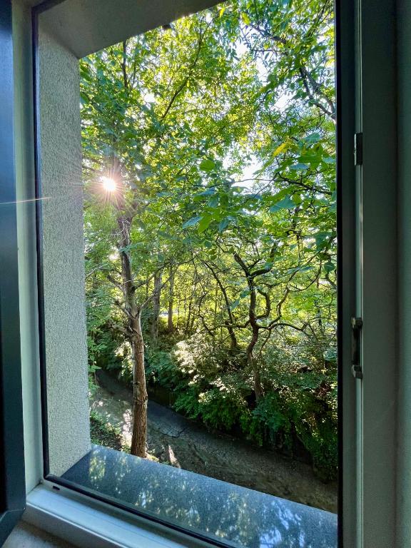 a window with a view of a garden outside at Apartament Olszowka 12 Bielsko - Biała in Bielsko-Biała